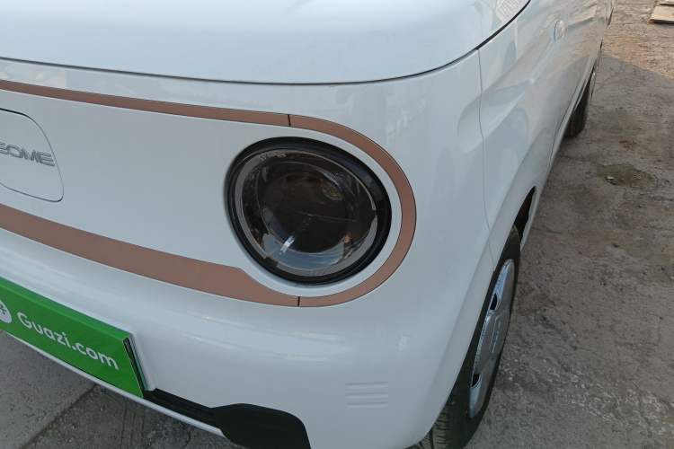 Used  Panda 2024 Panda Mini 200km Endurance Bear
