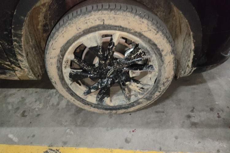 Used Haval H6 2021 3rd Generation 2.0T Automatic Two-Wheel Drive Max