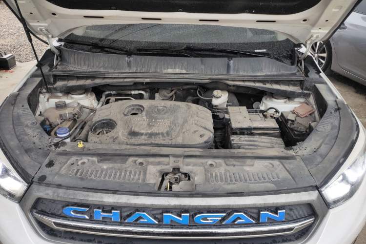 Used Changan CS55 2017 1.5T Automatic Colorful Edition
