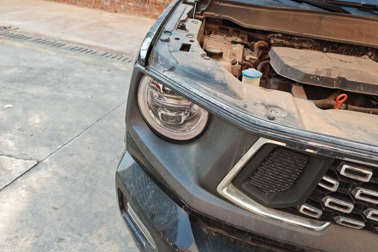 Used Haval H Dog 2023 2.0T All-Wheel-Drive Chaoye Plus
