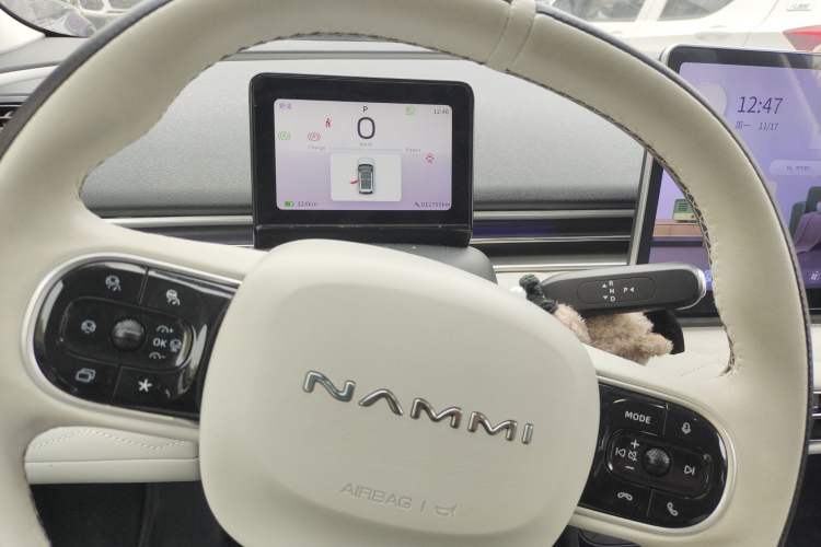 Used Dongfeng NAMMI 01 2024 430 Max
