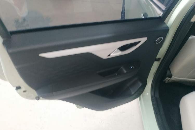 Used SOL E10X 2022 Flower Fairy Style Baby's Breath
