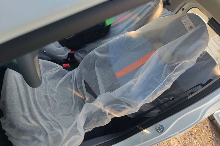 Used  Panda 2024 Panda Mini 200km Endurance Bear
