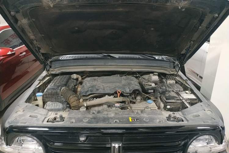 Used Tank 300 2021 Off-Road Edition 2.0T Conqueror