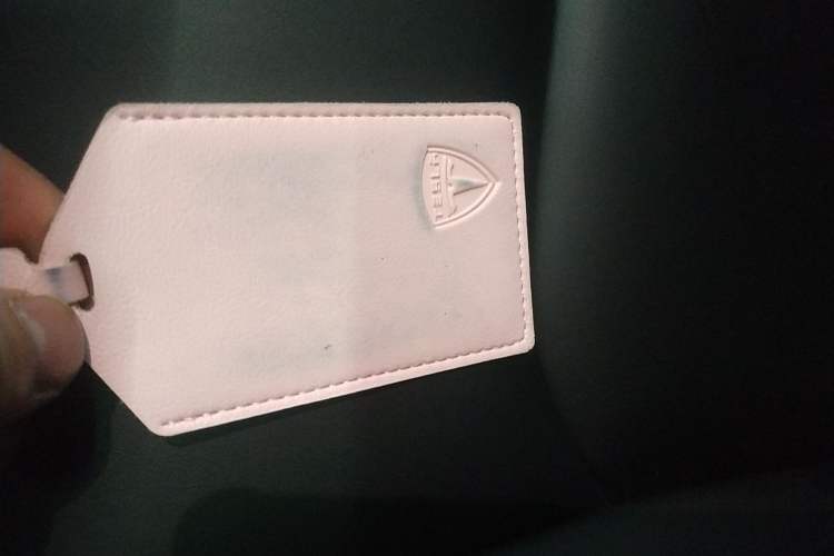 Used Tesla Model 3 2019 Standard Range Rear-Drive Upgraded Version
