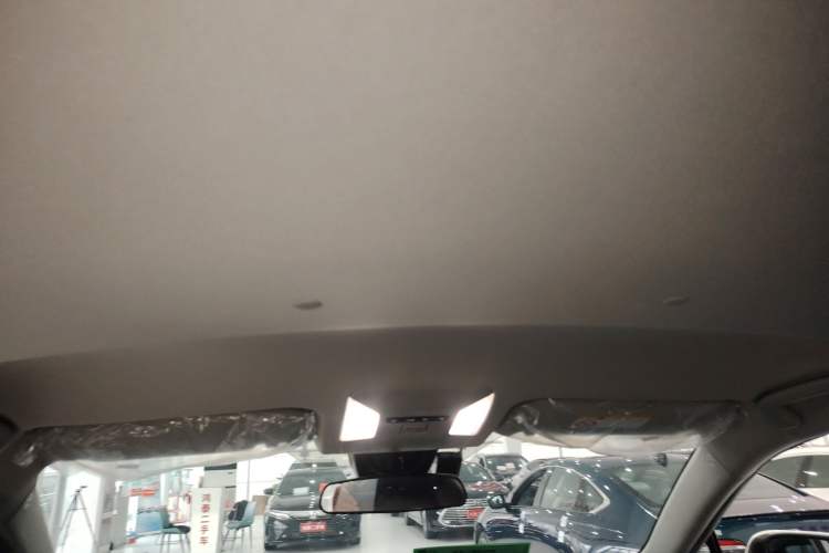 Used Toyota Wildlander 2024 2.0L CVT Two-Wheel Drive Leading Edition