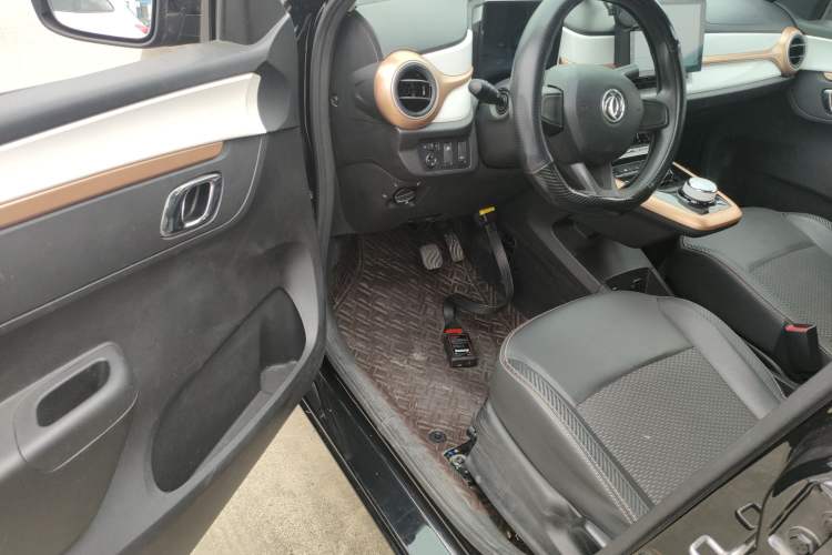 Used Dongfeng NAMMI EX1 2023 PRO Light Wind Edition Lightning Model
