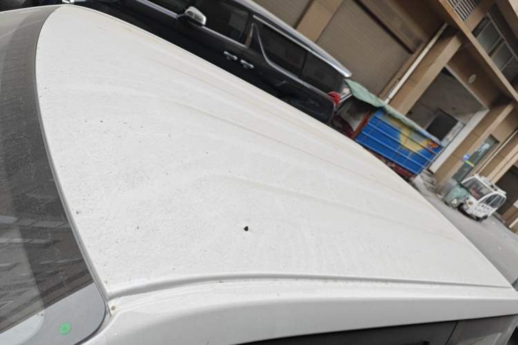 Used  Panda 2024 Panda Mini 200km Endurance Bear
