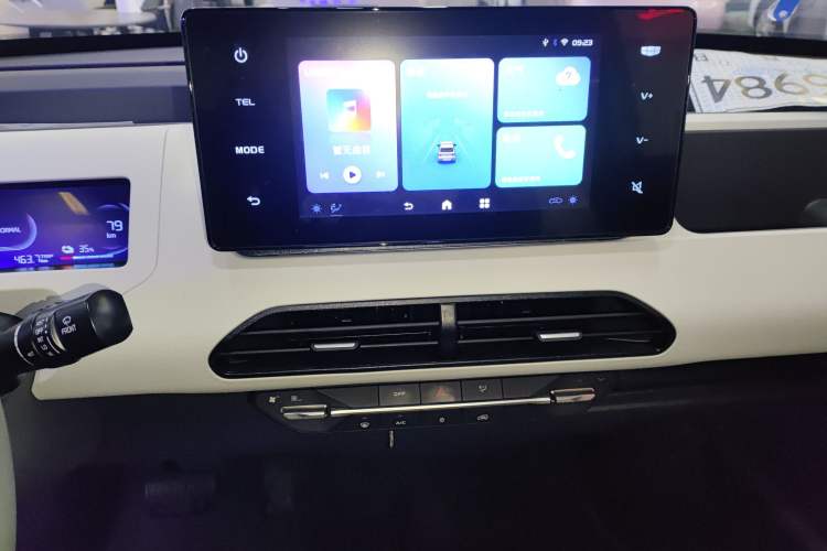 Used  Panda 2024 Panda Mini 200km Endurance Bear