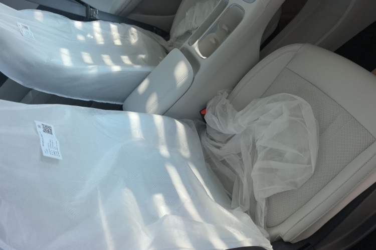 Used  Geome 2025 310km Dream Edition
