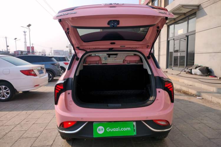 Used NETA V 2022 Chao 400 Lite Pink Custom Edition