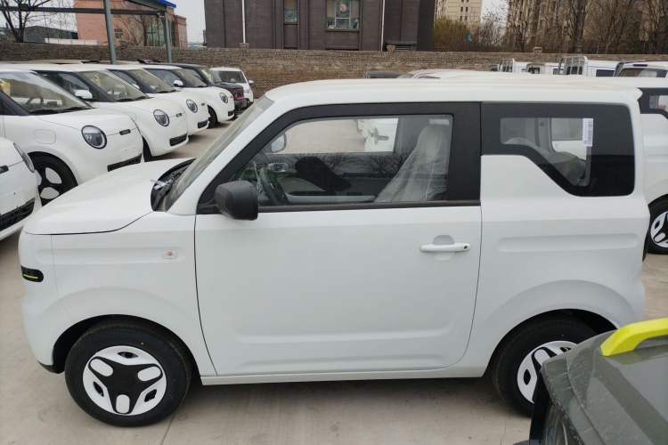 Used  Panda 2025 210 km – Yuanqi Bear
