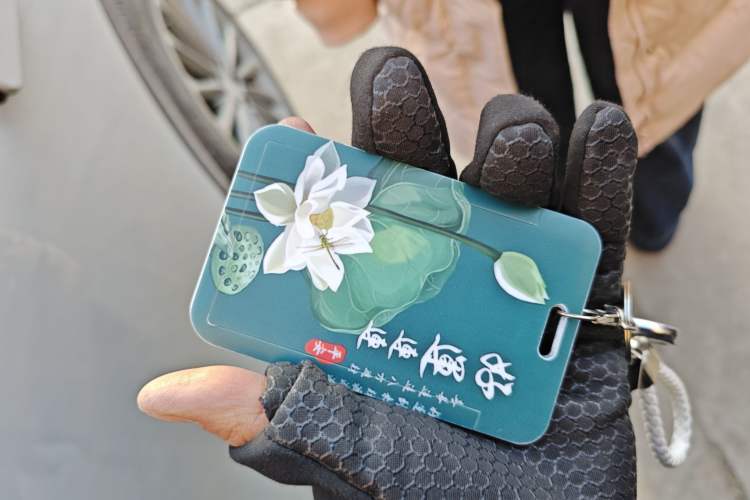 Used Leapmotor C11 2026 Range-Extended 300 LiDAR Prestige Edition