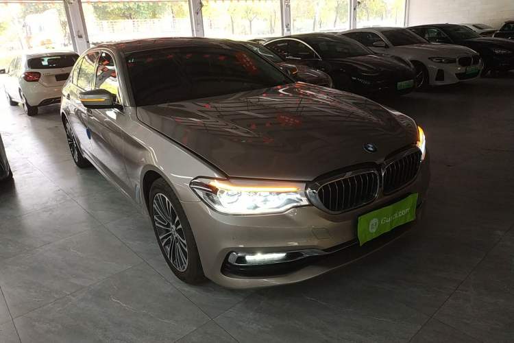 Used BMW 5 Series 2019 530Li Luxury Edition Premium Package