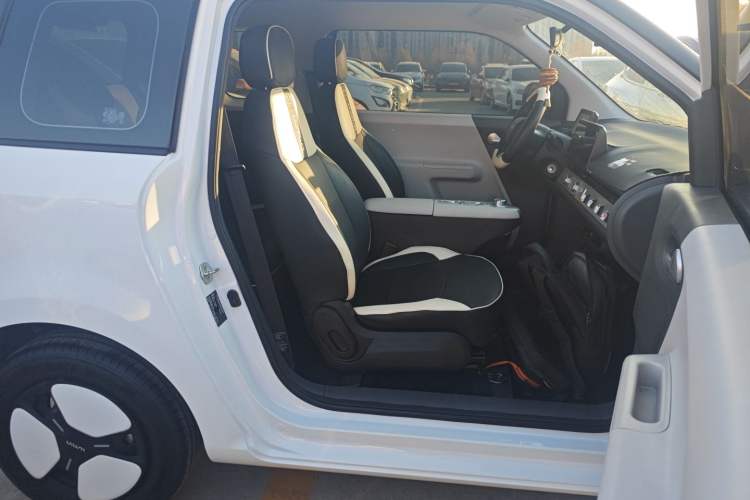 Used  Lumin 2025 205 km Xiangqin Version