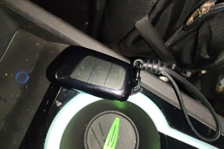 Used Chery Little Ant 2021 200 000-Yuan Ant Fan Edition Oxygen Version Lithium Iron Phosphate 301 km
