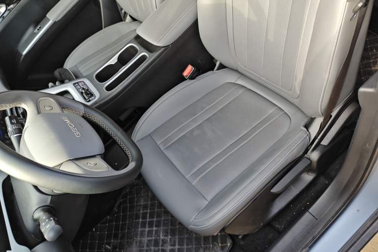 Used  Geome 2025 310km Dream Edition
