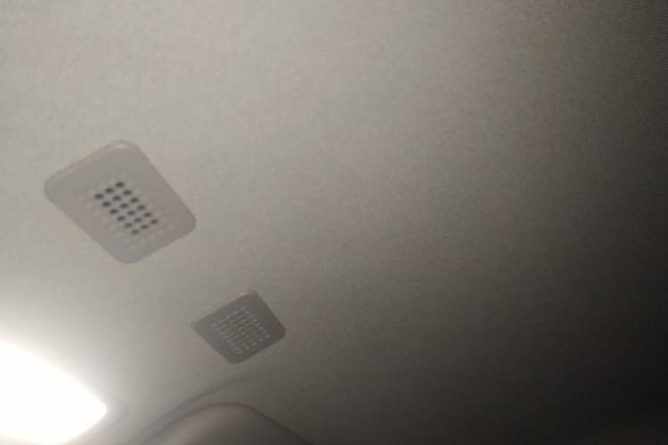 Used  Panda 2023 Panda Mini 200km Endurance Bear
