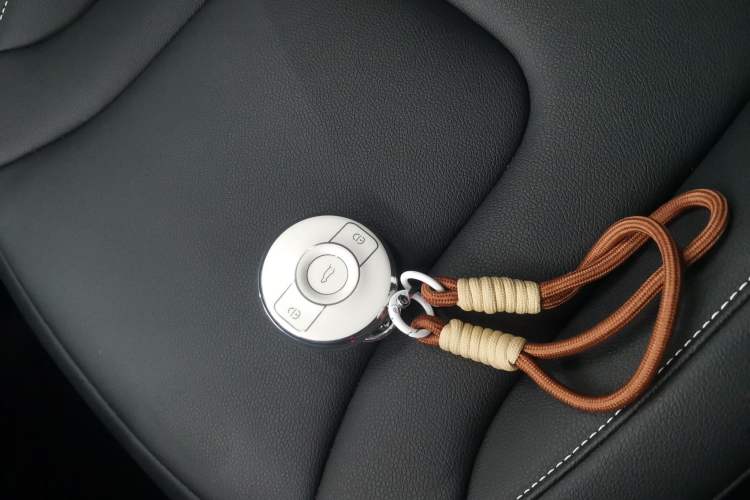 Used  #1 2024 Dynamic Standard Edition
