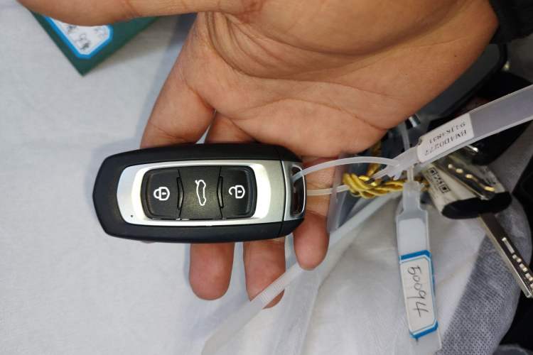 Used  Panda 2025 210 km – Yuanqi Bear
