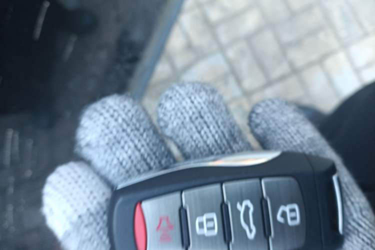 Used Haval DARGO 2024 1.5T DCT Border Collie Edition
