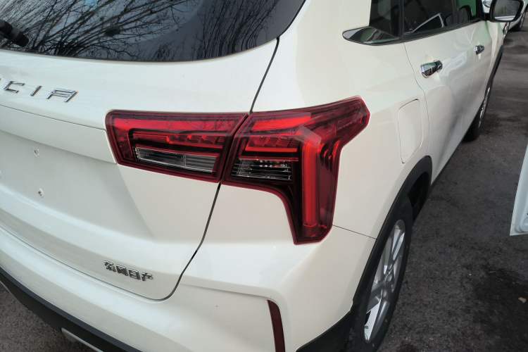 Used Venucia T60EV 2020 AI Enjoyment Model
