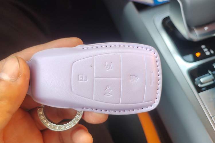 Used  BJ40 Electric Drive 2025 Advanced Edition
