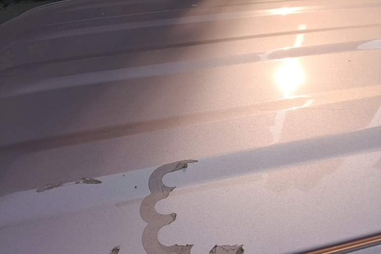 Used  Panda 2023 Panda Mini 200km Endurance Bear
