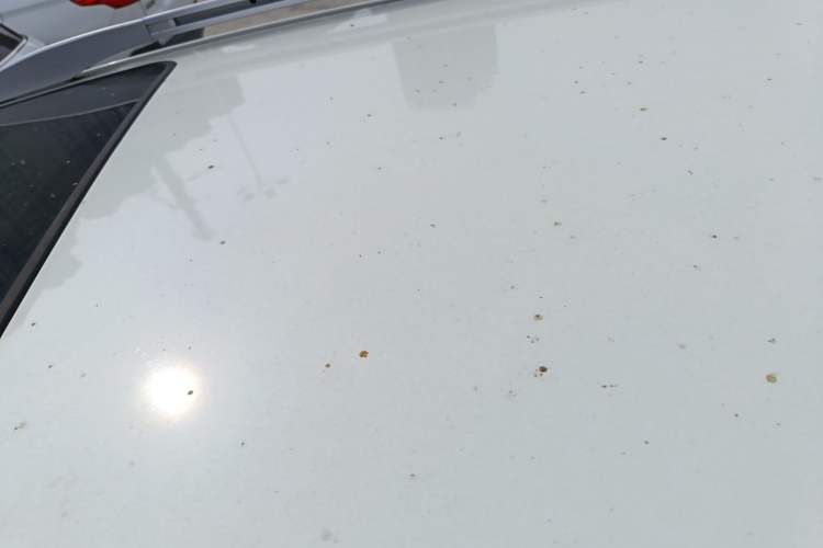 Used BYD S7 2015 2.0T Automatic Flagship Edition
