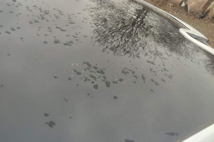 Used Changan UNI-T 2022 1.5T Prestige Version
