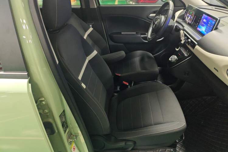 Used ORA White Cat 2020 305 km Luxury Version
