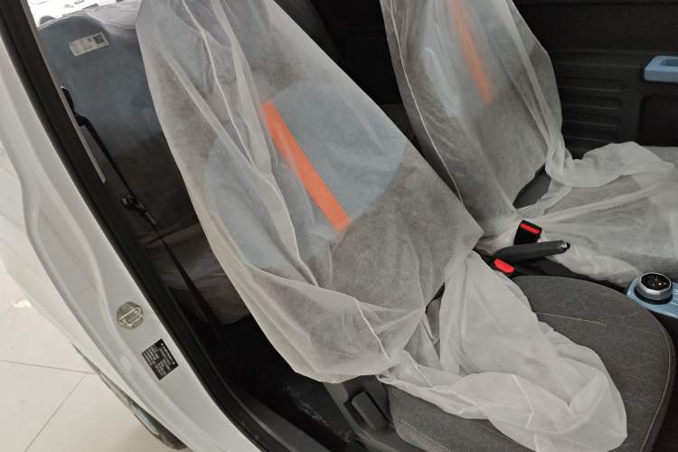 Used  Panda 2024 Panda Mini 200km Endurance Bear