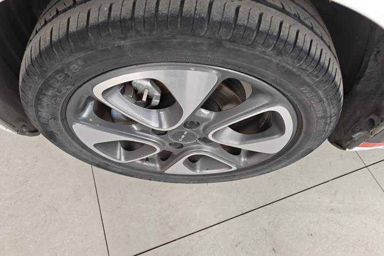 Used ORA White Cat 2020 305 km Luxury Version