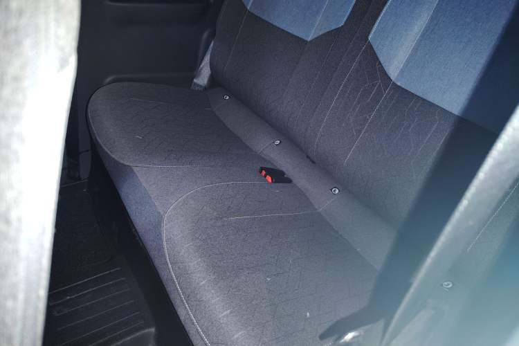 Used  Panda 2024 Panda Mini 200km Endurance Bear
