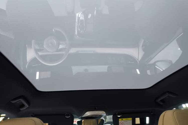 Used VOYAH FREE 2021 Four-Wheel Drive Standard Range-Extended Exclusive Luxury Package
