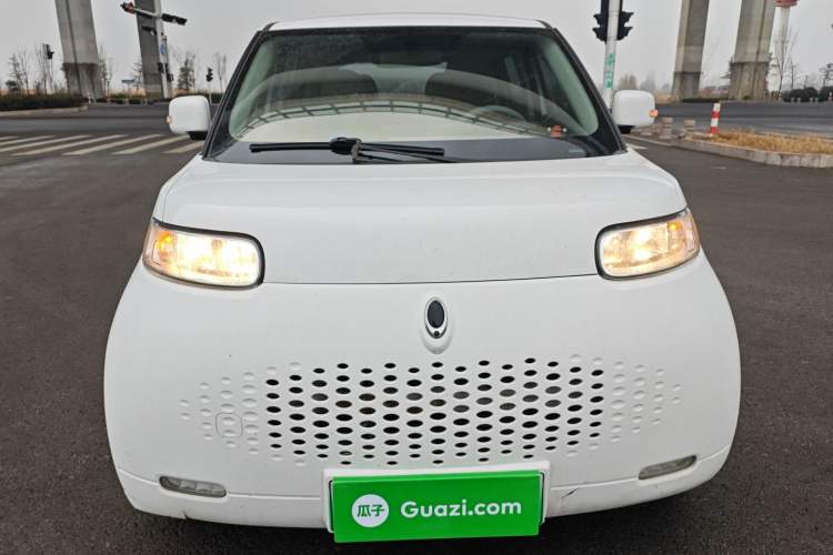 Used ORA White Cat 2020 305 km Luxury Version
