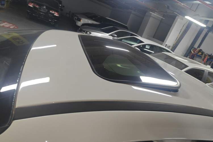 Used Ford Focus 2018 Sedan Classic 1.6L Automatic Trendy SmartDrive Edition