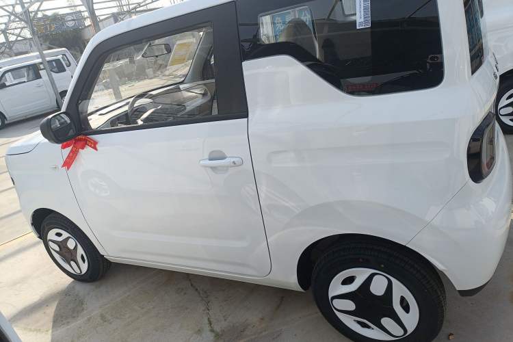 Used  Panda 2025 210 km – Yuanqi Bear