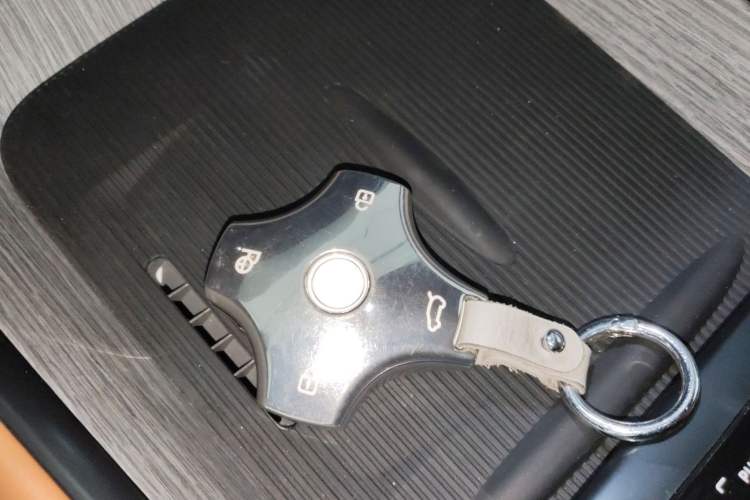 Used  eπ007 2024 200Pro Range-Extended Version