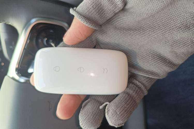 Used  L6 2025 EM-i 140km Starship Edition
