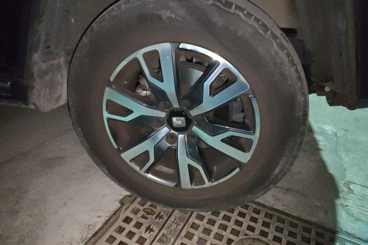 Used Tank 300 2021 City Edition 2.0T—Truly Stylish