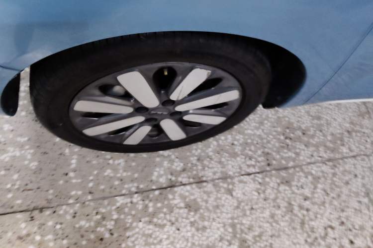 Used ORA Black Cat 2019 351 km Family Edition
