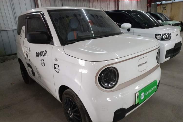 Used  Panda 2023 Panda Mini 200km Endurance Bear