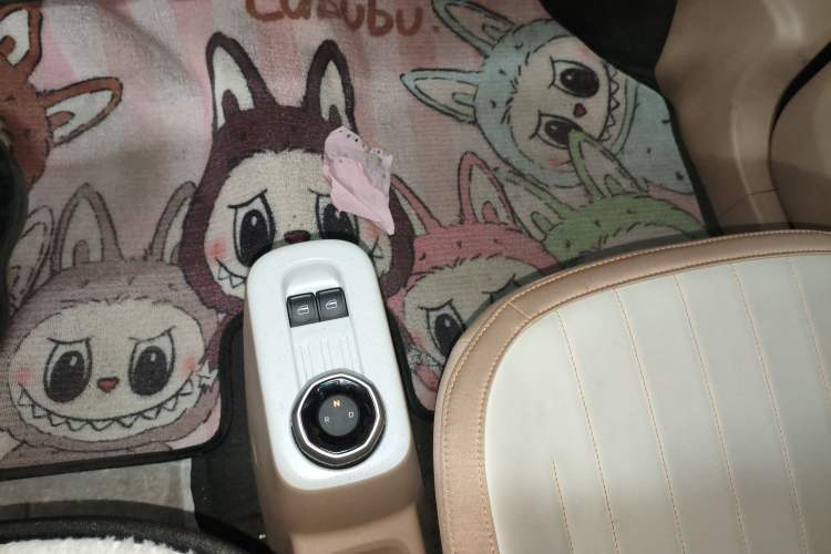 Used  Panda 2024 200km Panda Kart
