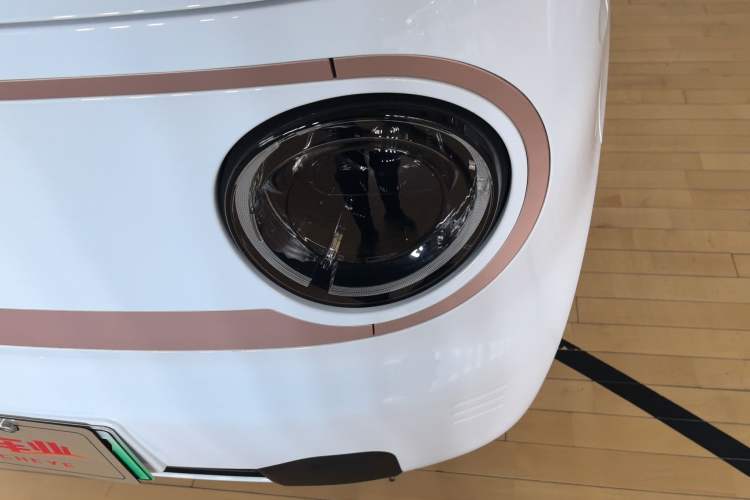 Used  Panda 2024 Panda Mini 200km Endurance Bear
