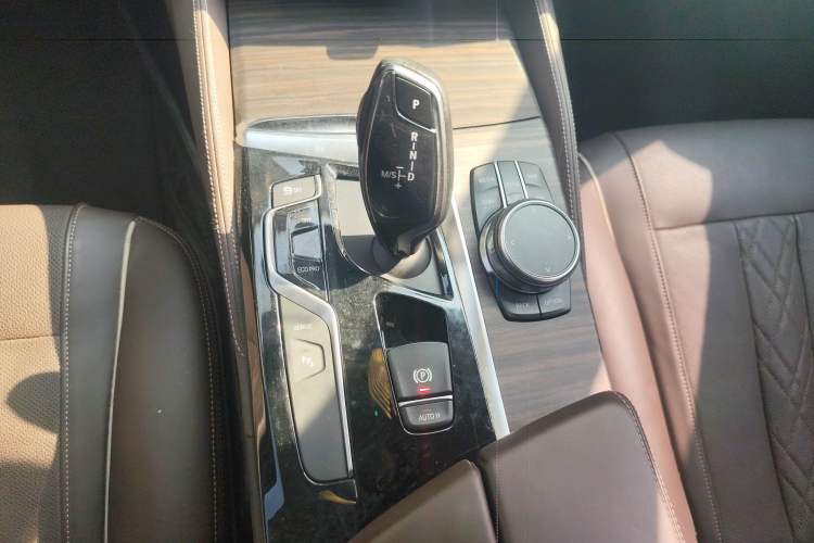 Used BMW 5 Series New Energy 2019 530Le Luxury Package
