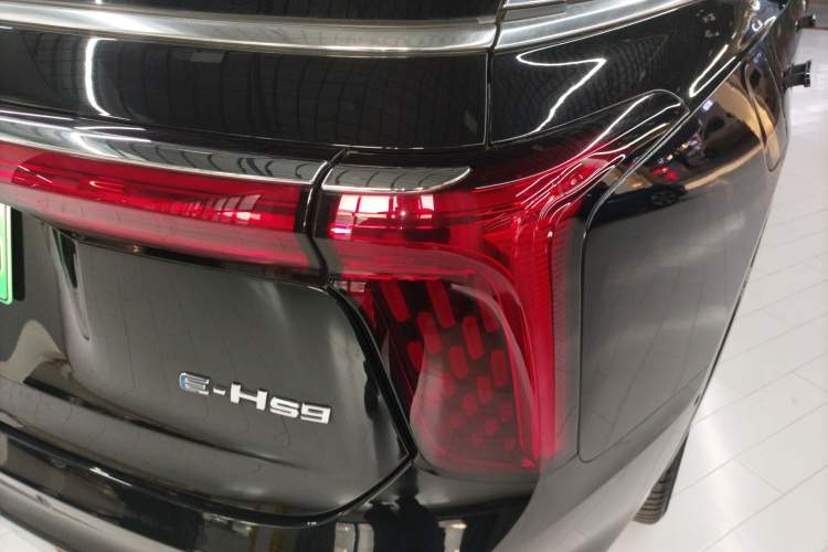 Used Hongqi E-HS9 2021 460 km Range Flagship Edition Six-Seater
