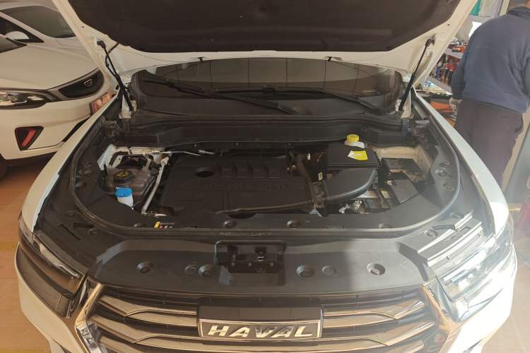 Used Haval H6 2021 National Trend Edition 1.5T Automatic Champion Version
