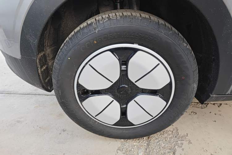 Used  Geome 2025 310km Youth Edition