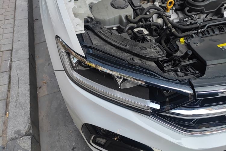 Used Volkswagen T-ROC 2023 300TSI DSG Two-Wheel-Drive Chen Guang Edition
